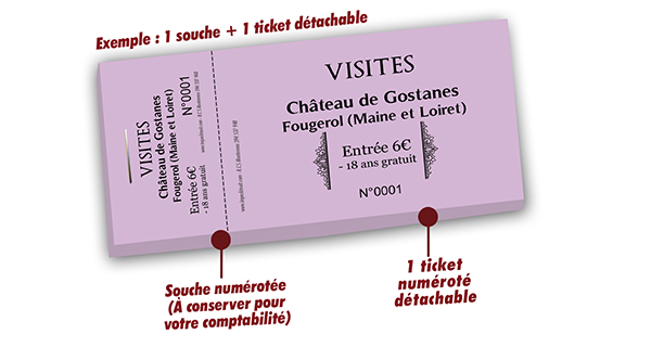 billet entrée payante visite château