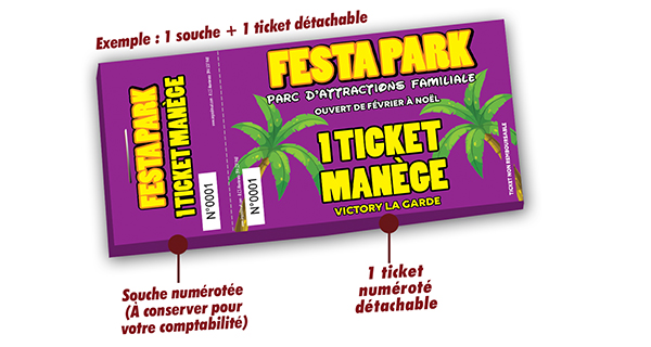 Ticket manège parc attractions